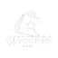 Quantum Shop Logo